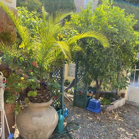 Ferienwohnung Jardin D'Eden Saint-Raphaël Exterior foto